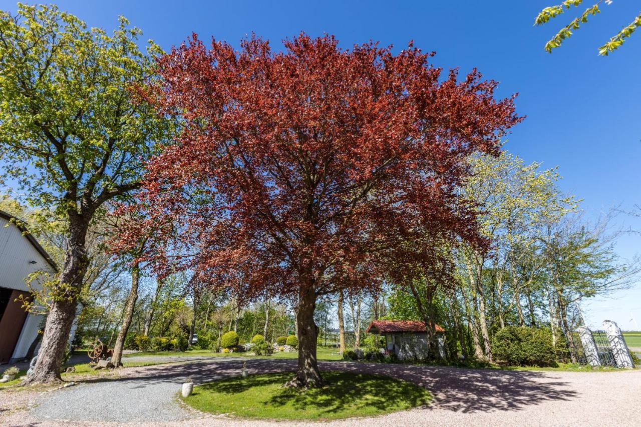 Denkerhof Ferienwohnung Sodalith Reußenköge Exterior foto